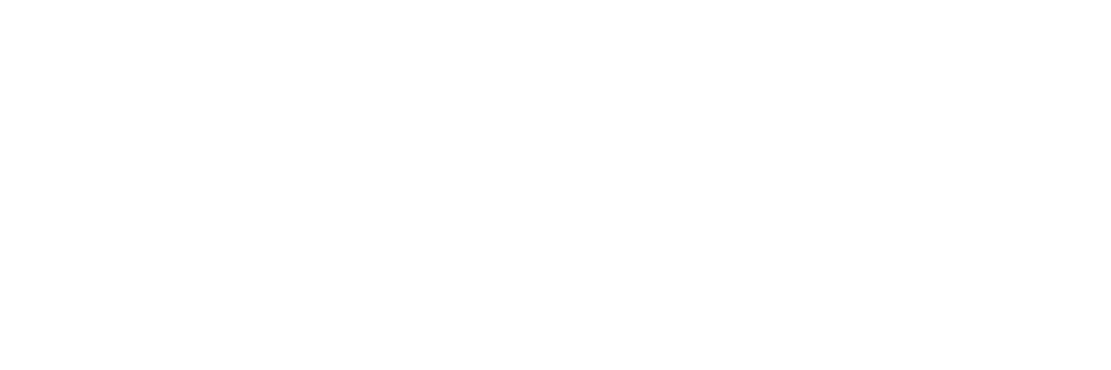 Bose_Marca