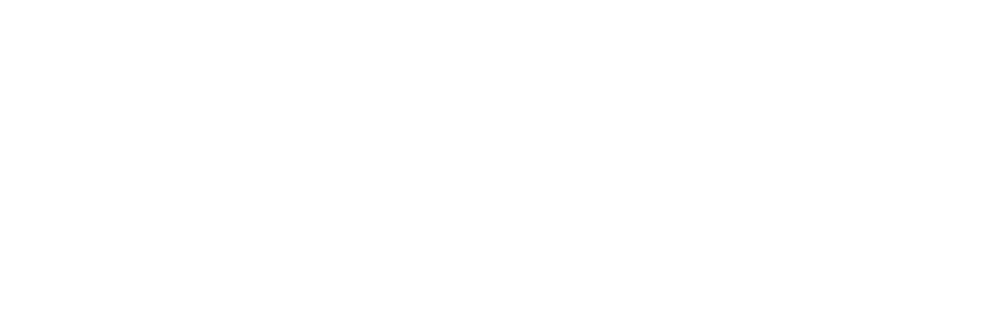 Sansui_Marca